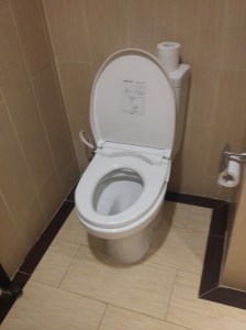 20160604_toilet2